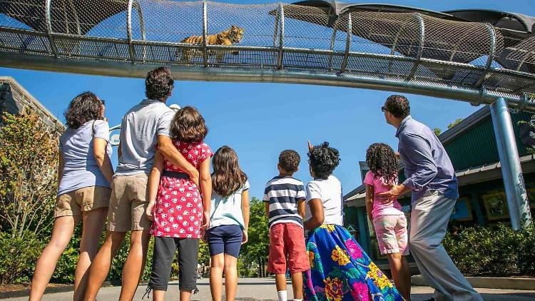 Are There Any Kid-friendly Museums In Philadelphia?