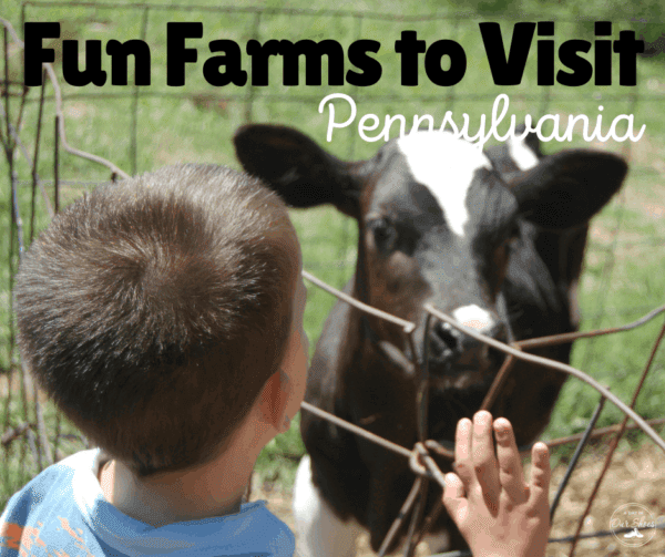 What Are Some Options For Farm Tours Near Philadelphia?