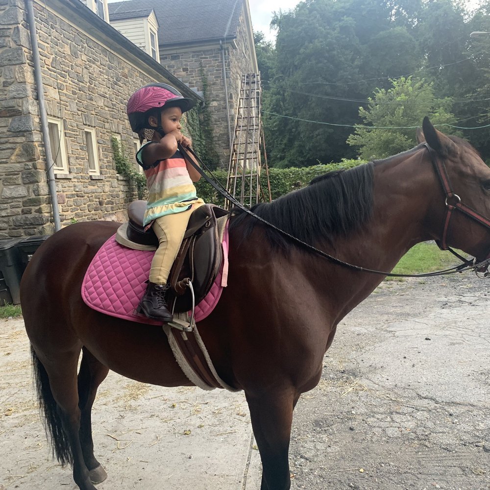 What Are Some Options For Horseback Riding In Philadelphia?