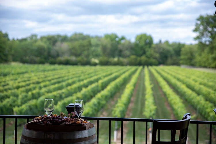 What Are Some Options For Winery Tours Near Philadelphia?