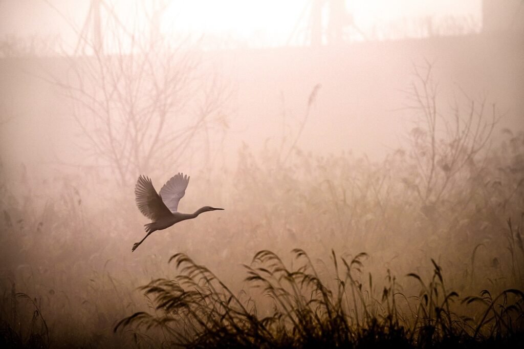 What Are The Top Places For Birdwatching In Philadelphia?