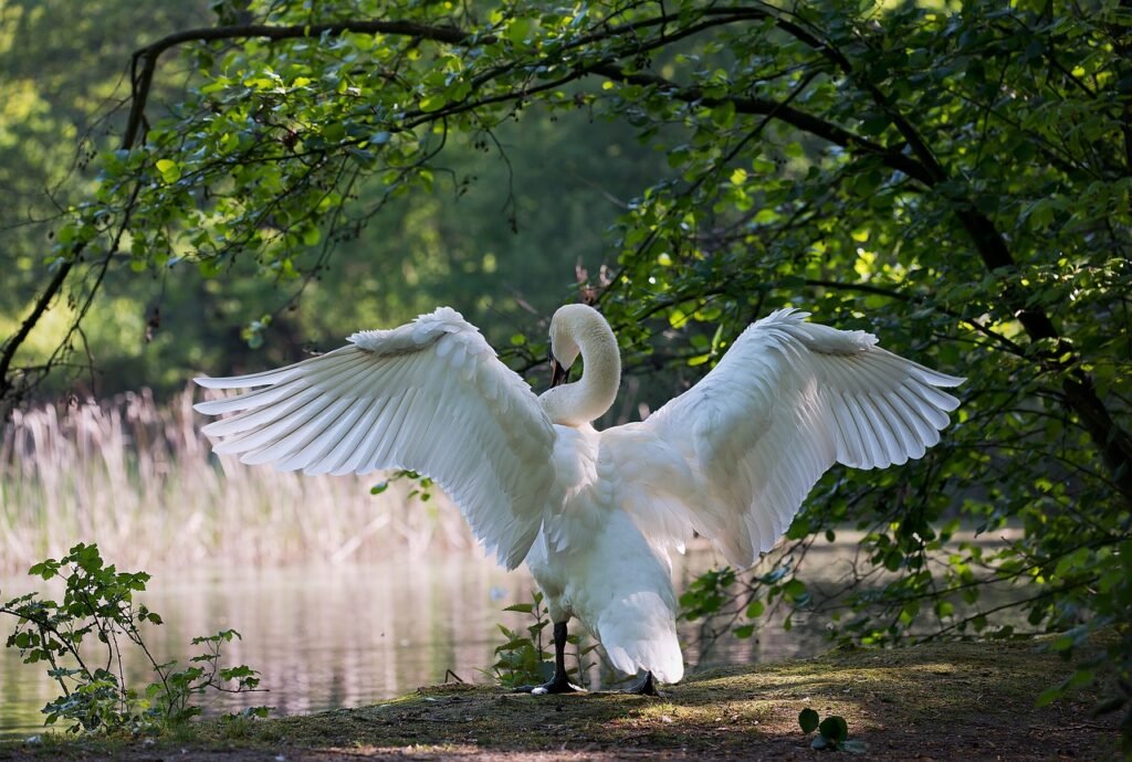 What Are The Top Places For Birdwatching In Philadelphia?