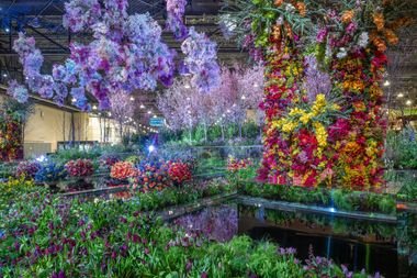 Experience The Splendor Of The Philadelphia International Flower Show