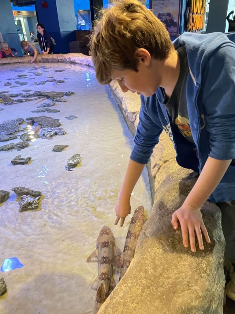 Get Interactive At The Adventure Aquarium