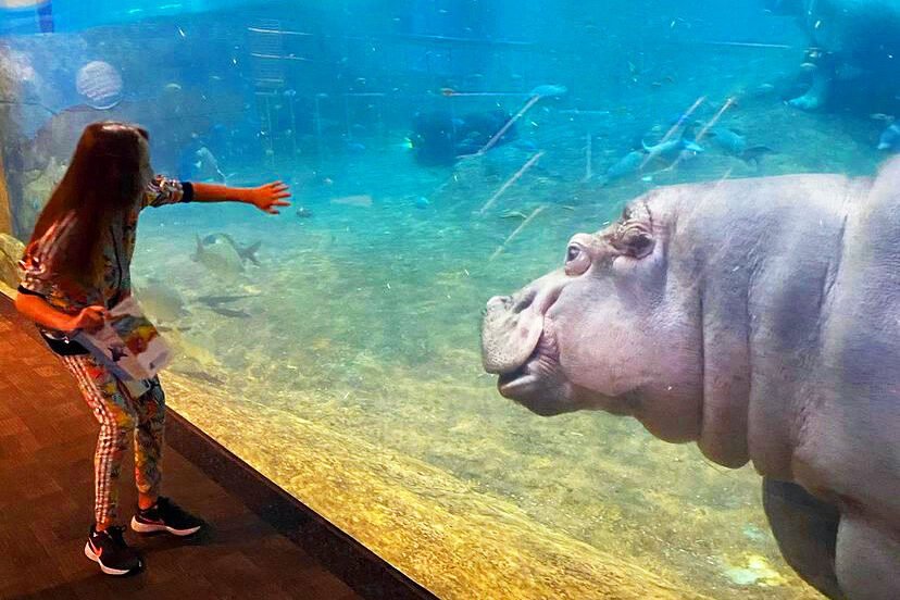 Get Interactive At The Adventure Aquarium