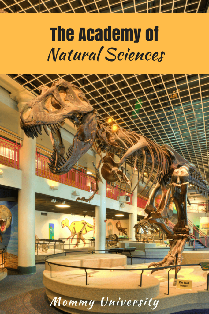 Learn At The Academy Of Natural Sciences